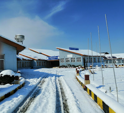 Apple Orchard Success